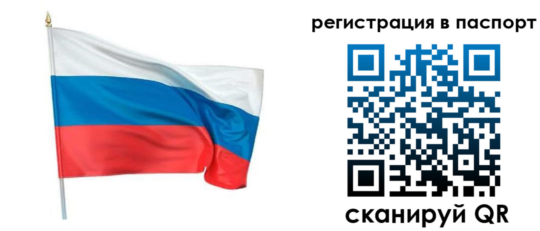 прописка штамп в Новозыбкове