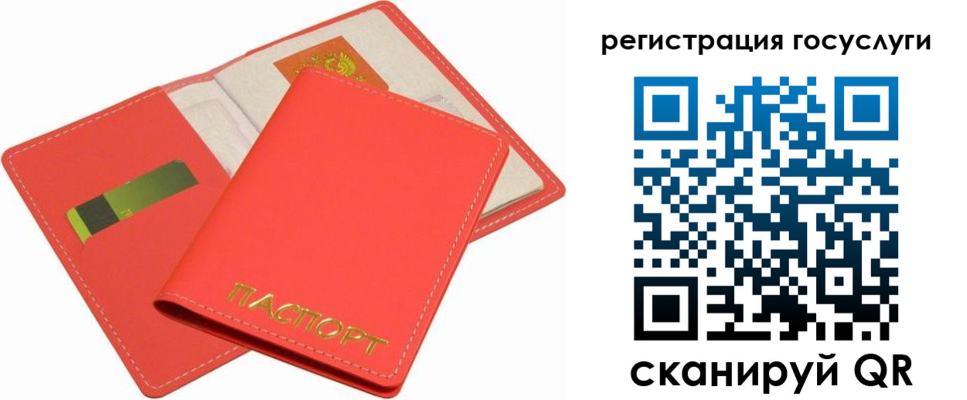 регистрация в Новозыбкове